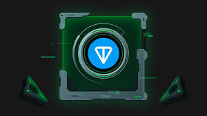 Vin