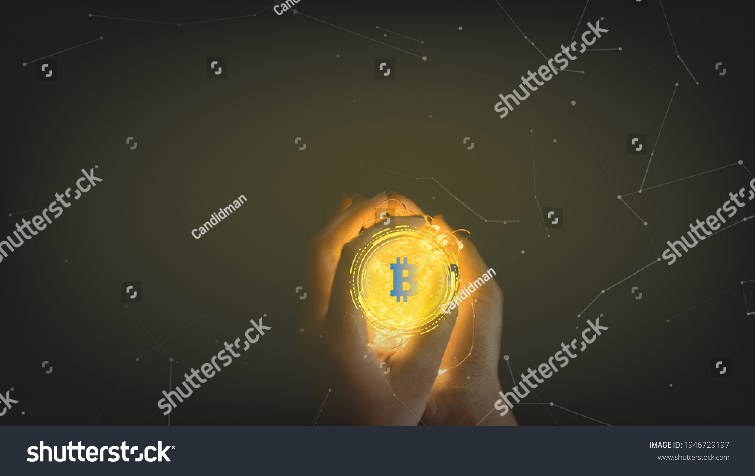 Ứng
