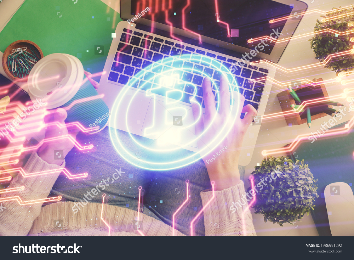 Web