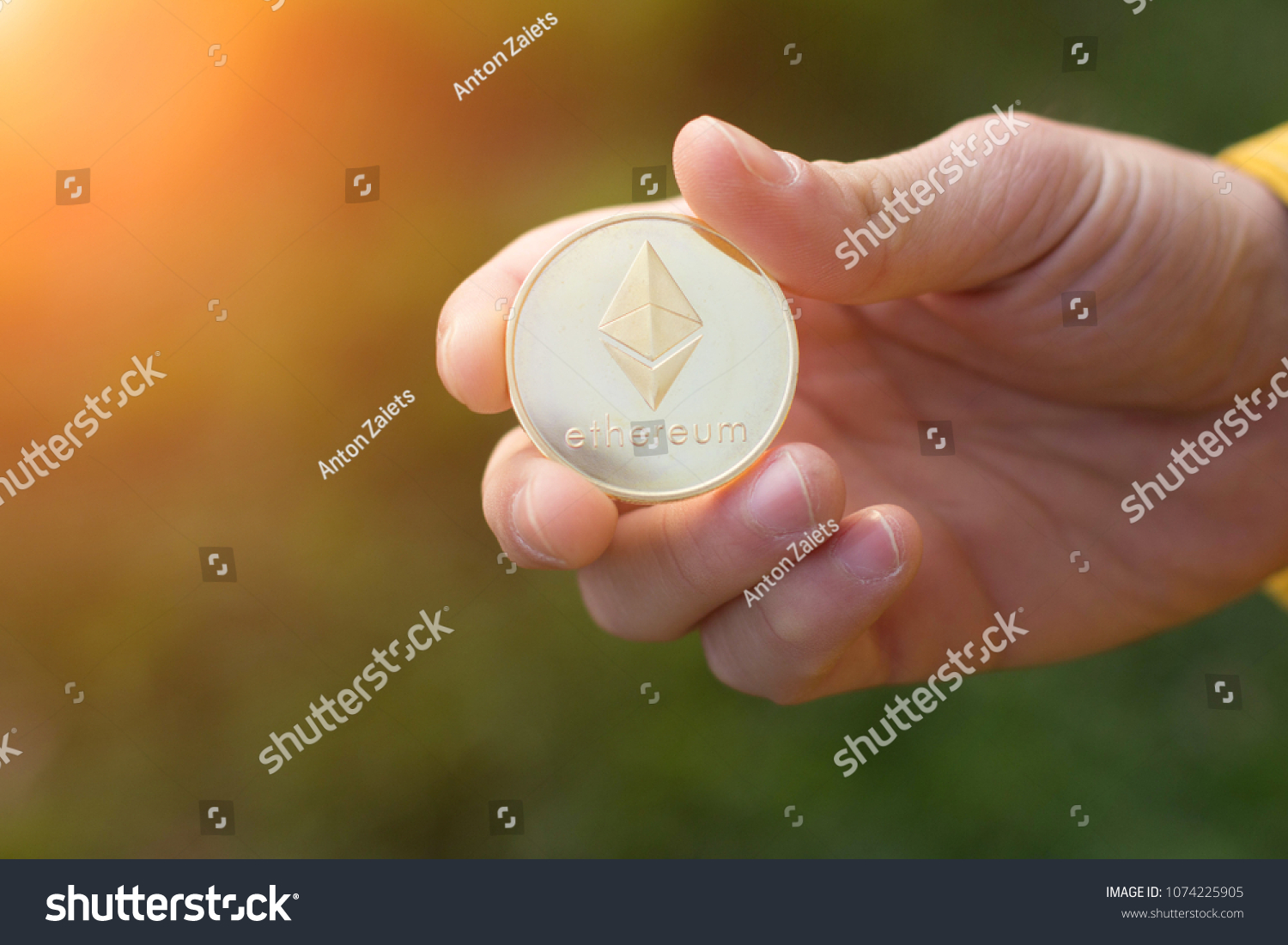 Mèo