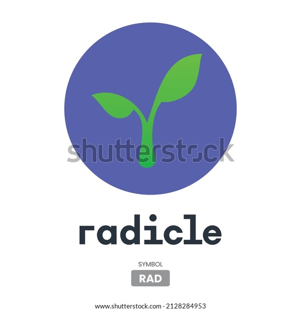 Chơ