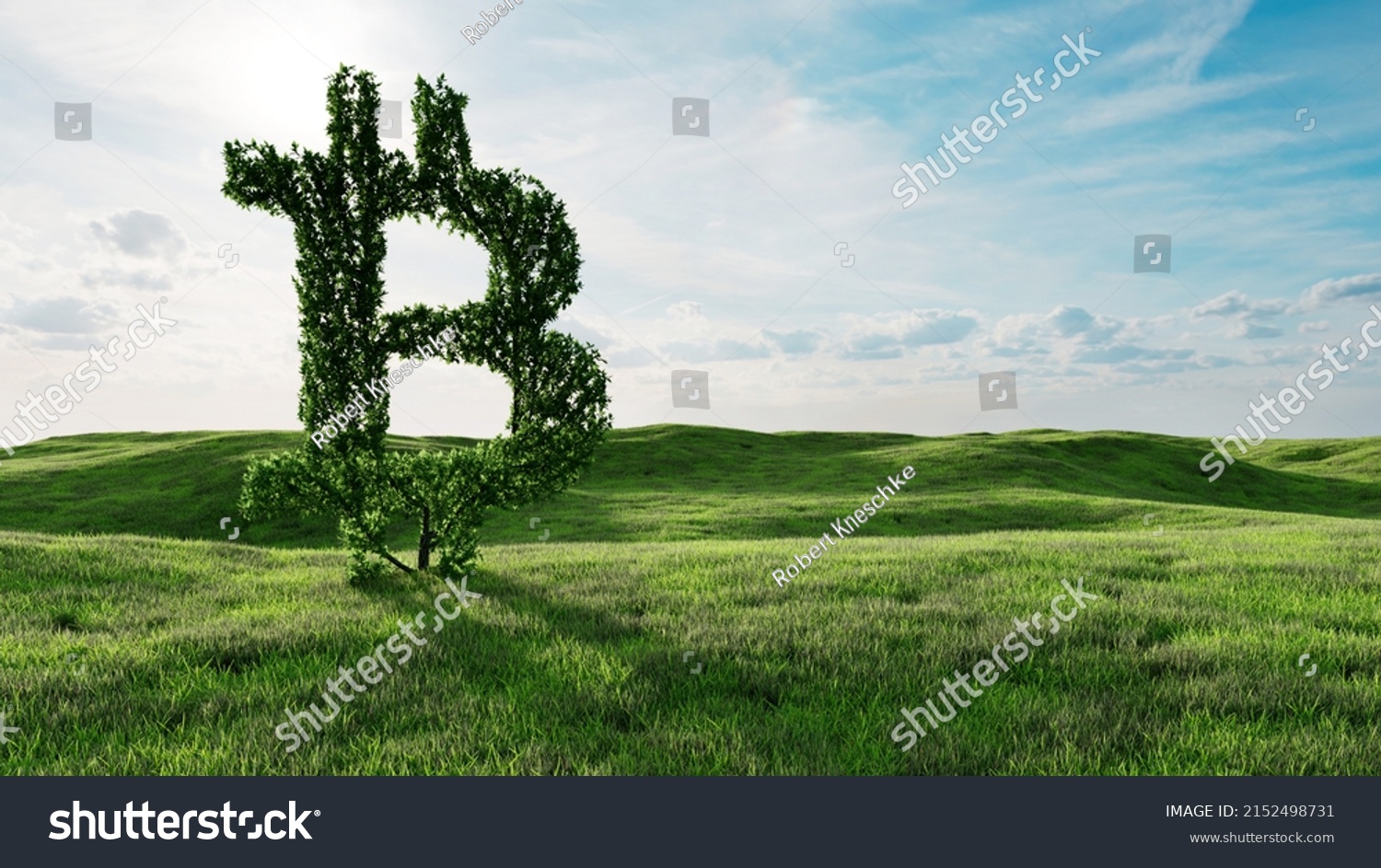 Bón