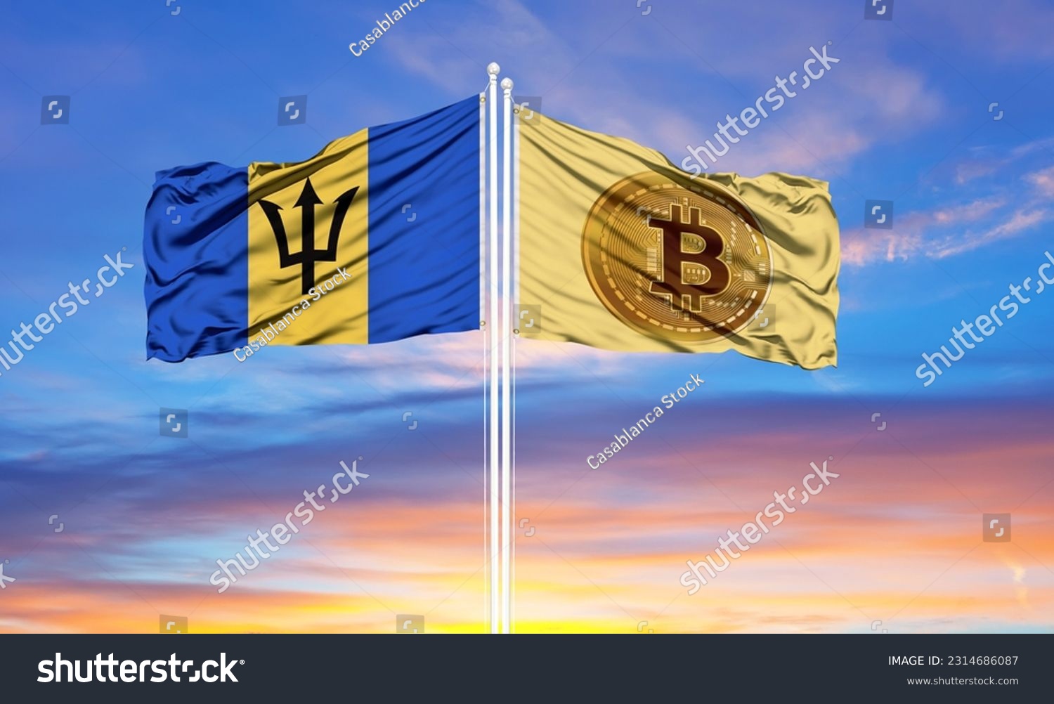 Ngư