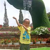Gấu