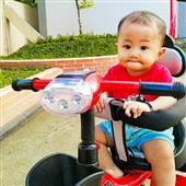 Giả