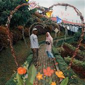 sự 
