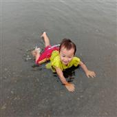 Cừu