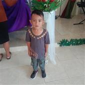 Wil