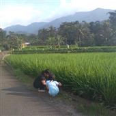 Bản
