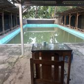 nảy