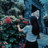 Bản
