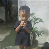 tố 