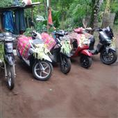 Bản