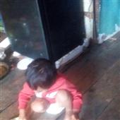 Bản