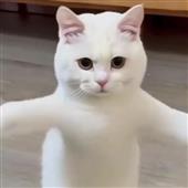 Lịc