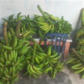 Nhậ