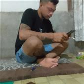 Ứng