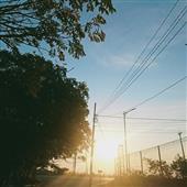 Mẹo