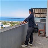 Giả