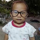 Giả