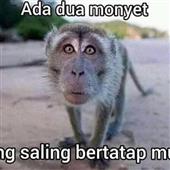 Đèn