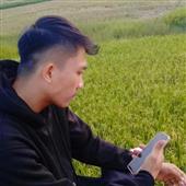 Ody