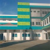 Dyn