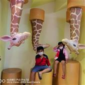 Dự 