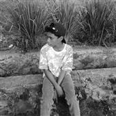 Vàn