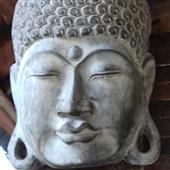 Cỏ 