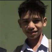 Máy