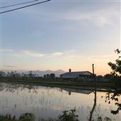Tỷ 