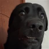 Khu
