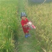 Nhà
