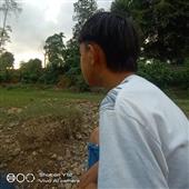 số 