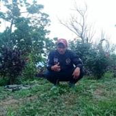TỶ 
