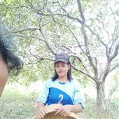 Cửa