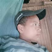 Cur