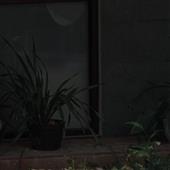 Kết