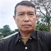 Bầy