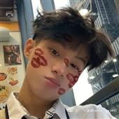 Giả