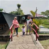 Ứng