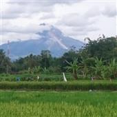 Chấ
