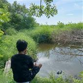 Azt