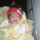 Diệ