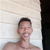 bò 