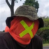 IPL