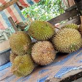 Thẻ