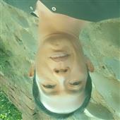 Đội