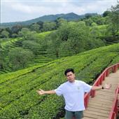 Khỉ